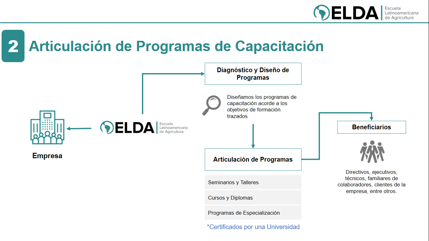 disenio cursos de capacitacion