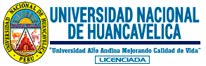 UNIVERSIDAD NACIONAL DE HUANCAVELICA