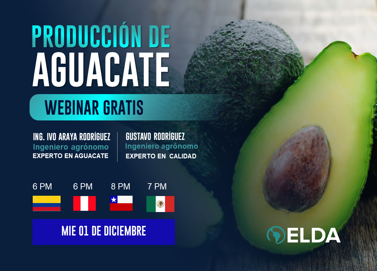 Producción de Aguacate